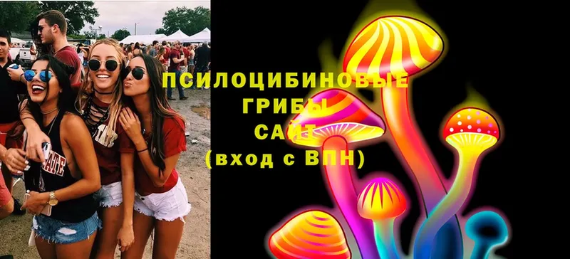 Галлюциногенные грибы MAGIC MUSHROOMS  MEGA онион  Ивангород 